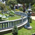 Những loại hoa phù hợp trồng trong lăng mộ gia tộc